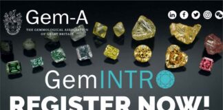 Gem-A Launches an online entry-level GemIntro Gemmology Qualification course