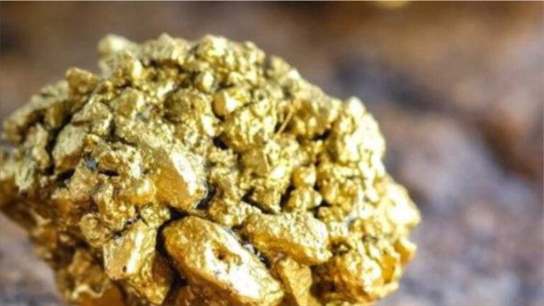 Pan African to build R2.5bn Mintails tailings project