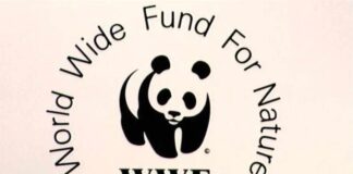 World Wildlife Fund publishes rating of openness of environmental information