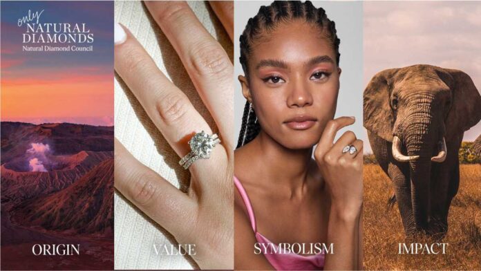 NDC introduced the Education Partner Program to increase sales of natural diamond jewellery NDC introduced the Education Partner Program to increase sales of natural diamond jewellery