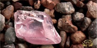 Rare 29.5 carat Protea Pink Diamond sold