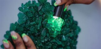 Grizzly holds the record for the highest number of emeralds sold
