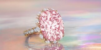 Pink Diamond Nabs Supreme sold for $11 million at Christies auction-1