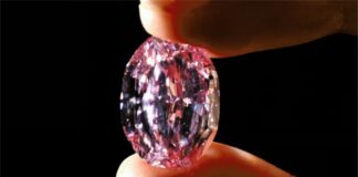 Mumbai police detains woman director of Surat diamond firm for cheating Rs 4150 crore with Israel diamond company