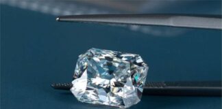 RapNet added Tracr information to Diamond listings
