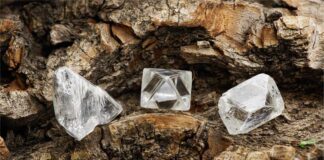 Alrosa earned 20 percent on rubles denominated diamond investments