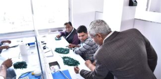 GJEPCs auction of Gemfields Emeralds at IRGSS Jaipur fetches USD 171 million