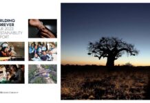 De Beers publishes Progress Report on Building Forever Sustainability Targets