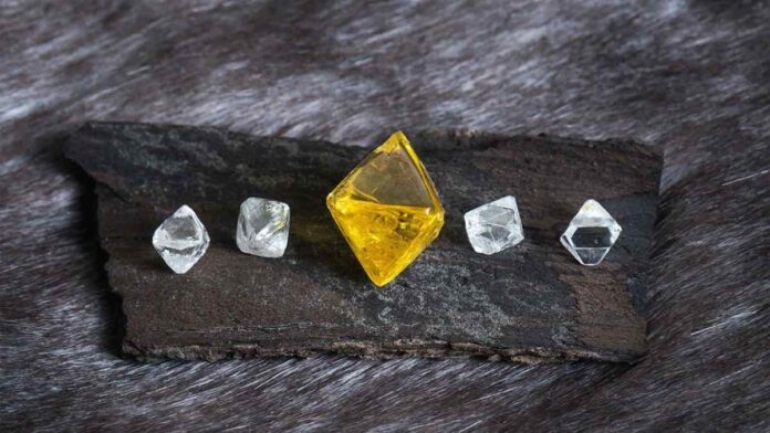 Burgundy Diamond Mines Records $29.5 Million Loss in Half-Year Results Burgundy Diamond Mines Records $29.5 Million Loss in Half-Year Results