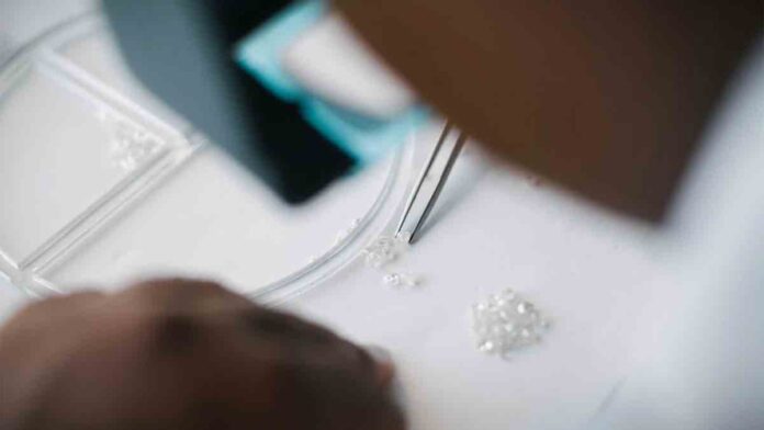 De Beers Changes Sight Boxes to Support Small Rough Diamonds