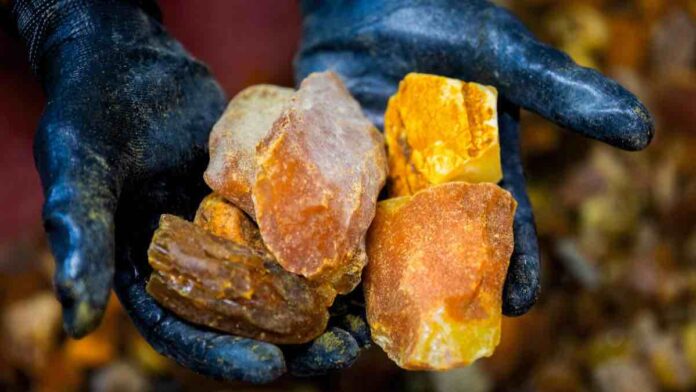 Russia Plans Major Growth in Its Amber Industry - Raw Material Supply for Local Producers to Double Russia Plans Major Growth in Its Amber Industry - Raw Material Supply for Local Producers to Double