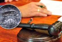 Over 2,600 carats of polished diamonds will be presented at the Gokhran auction